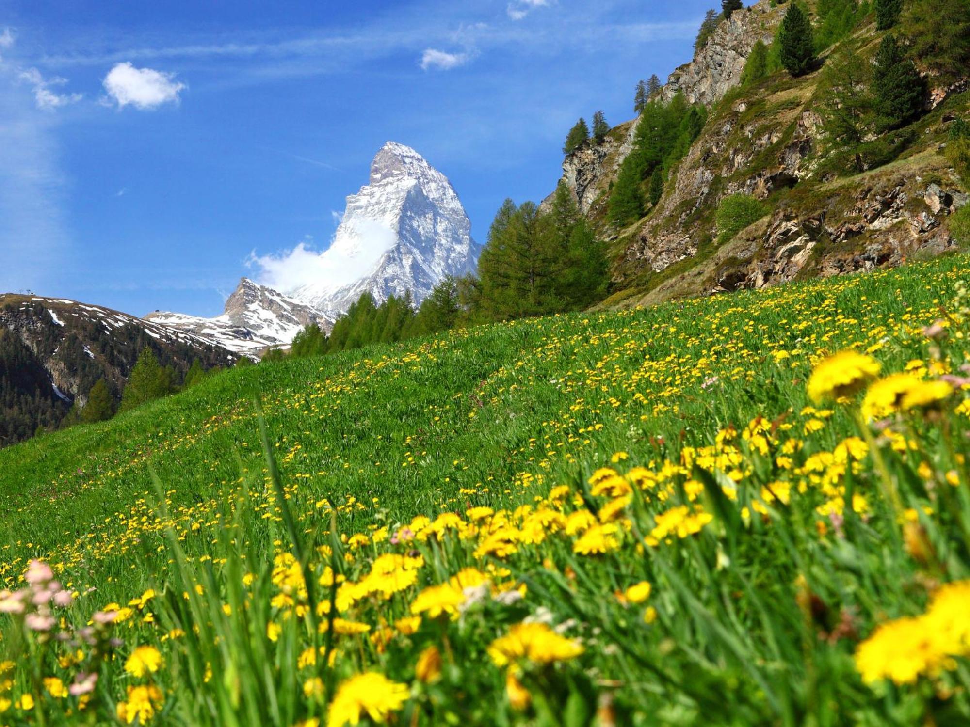 Apartment Haus Whymper Edward Suite By Interhome Zermatt Exteriör bild